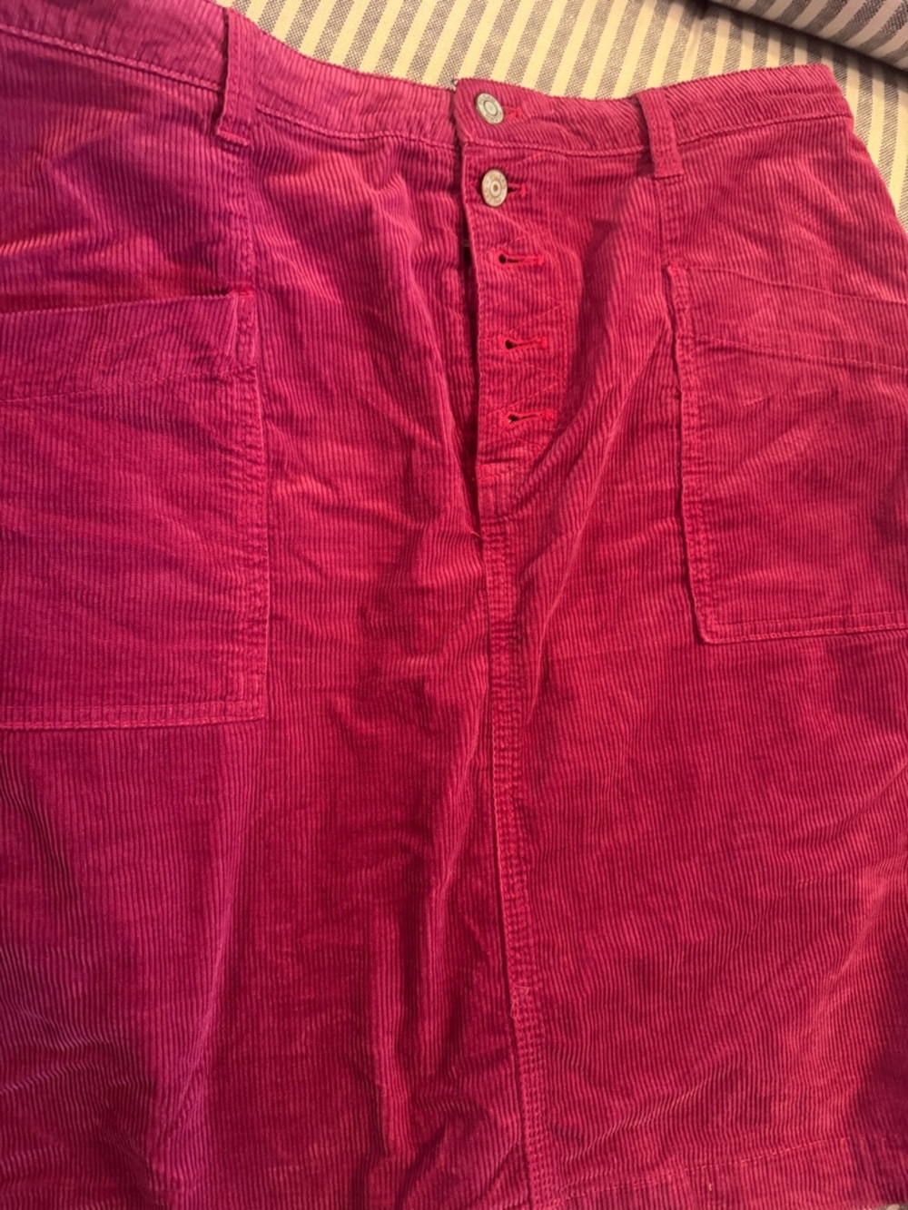 Anthropologie Corduroy Skirts - Brown and Fuchsia - Picture 2 of 7